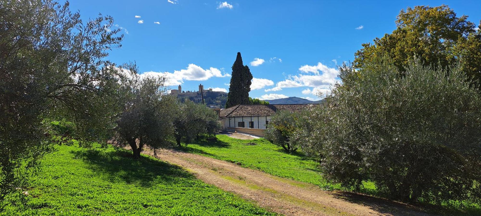 Cauchil Chico Villa Alcalá la Real Exterior foto
